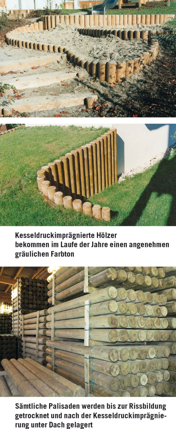 Fichte kesseldruckimprägniert