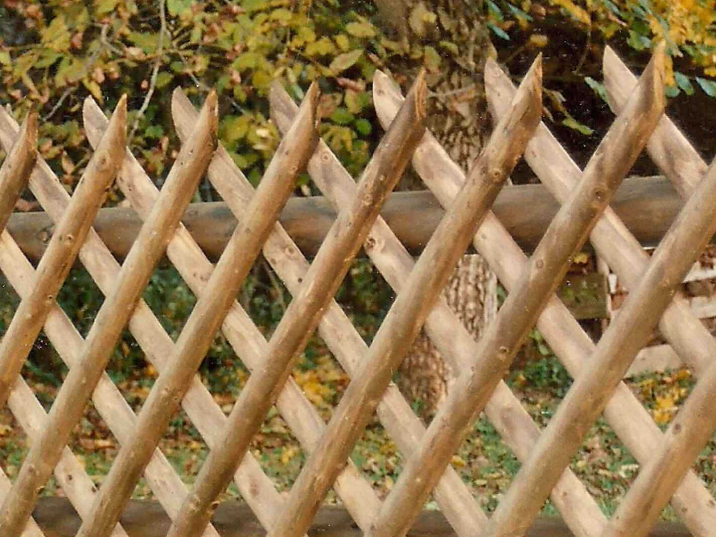 Klassischer J&auml;gerzaun mit dekorativem Rautenmuster als zeitloser Holzzaun f&uuml;r den Garten