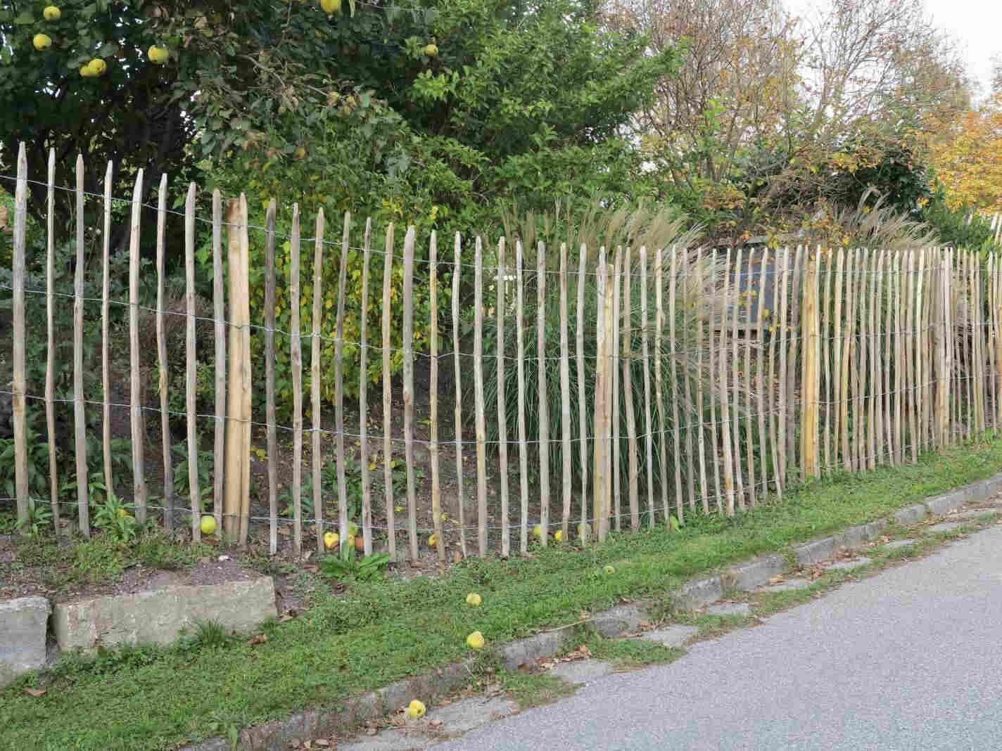 Kastanienzaun aus franz&ouml;sischer Edelkastanie als nat&uuml;rlicher Gartenzaun mit flexibler Drahtverbindung
