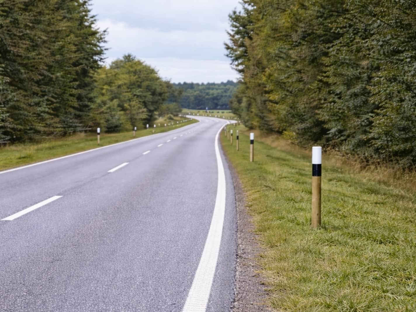 Stra&szlig;enleitpf&auml;hle mit Kunststoffkappe schwarz-wei&szlig; lackiert